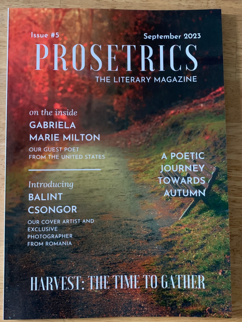 Prosetrics Literary Magazine